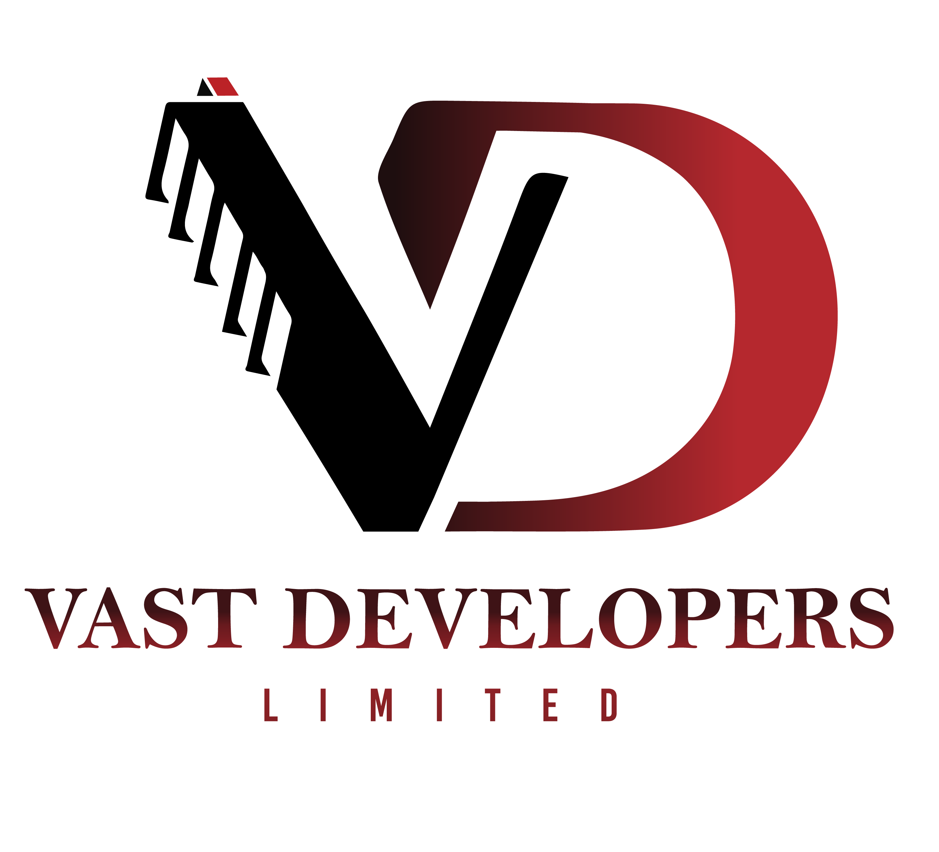 VAST DEVELOPERS LIMITED LOGO PNG-01 (1)
